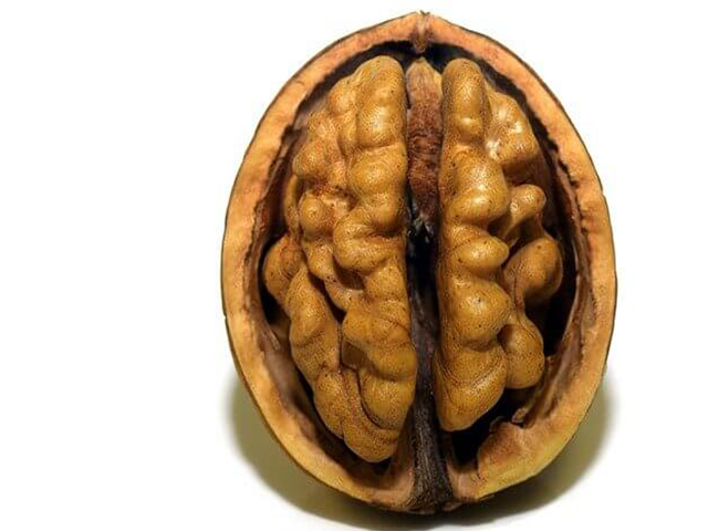 Ipnosi Milano nel cervello con le neuroscienze